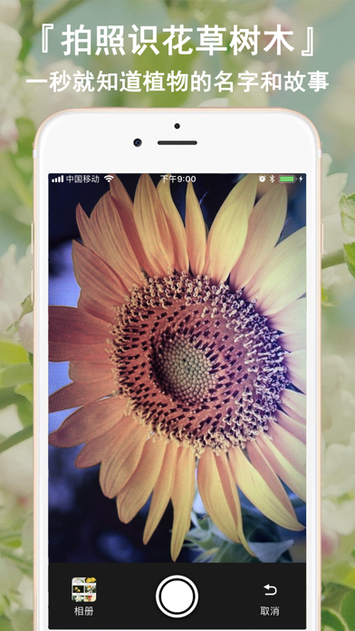 花卉识别-认识植物图鉴百科 Screenshot