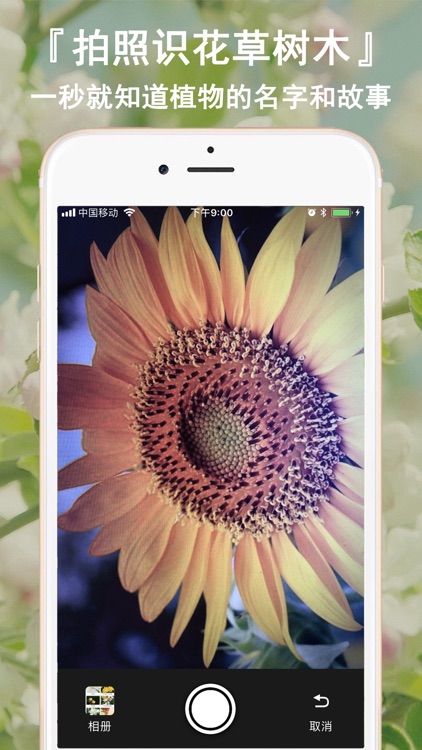 花卉识别-认识植物图鉴百科