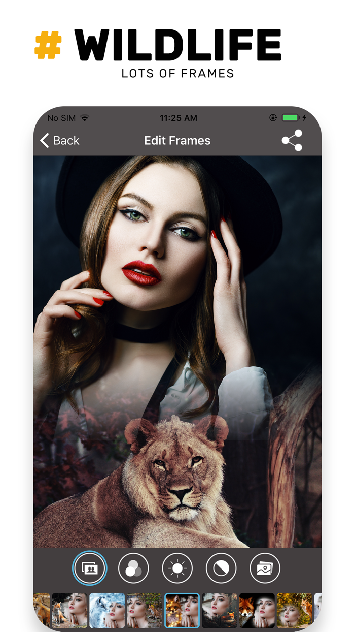 Wildlife Photo Frame Unlimited