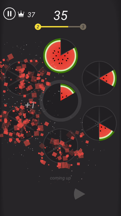 Image of Slices
