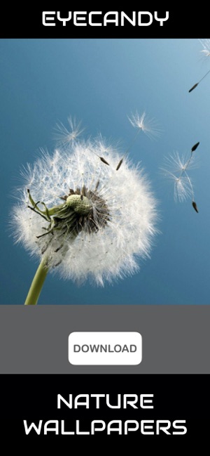 Aesthetic Wallpapers - iCandy(圖6)-速報App