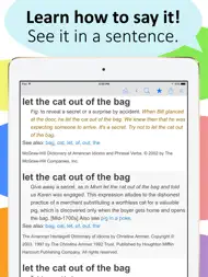 Idioms and Slang Dictionary ipad bilder 2