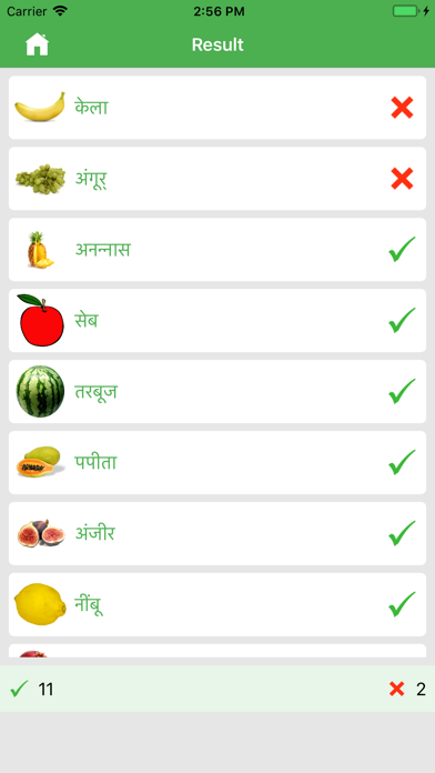 Learn Hindi Basic screenshot 4