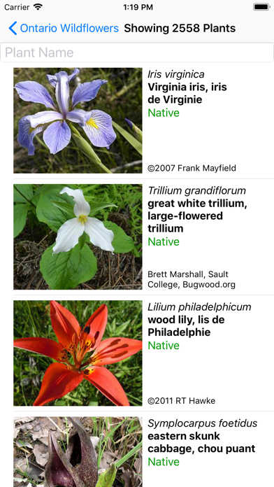 Screenshot #2 pour Ontario Wildflowers