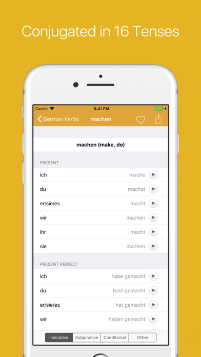 German Verb Conjugator Pro Screenshot