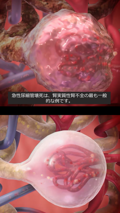 生理学と病理学 screenshot1