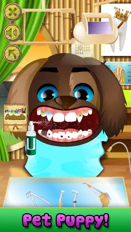 Game screenshot Animal Dentist Simulator hack