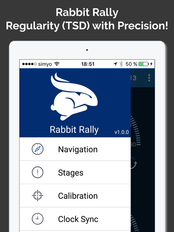 Screenshot #4 pour Rabbit Rally 2.0