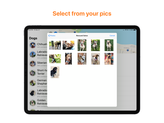 Screenshot #5 pour Breedie