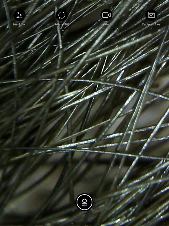 Screenshot #5 pour Tricho-derm profiler