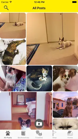 Game screenshot Dokonoko - Dogs&Cats Photo App apk