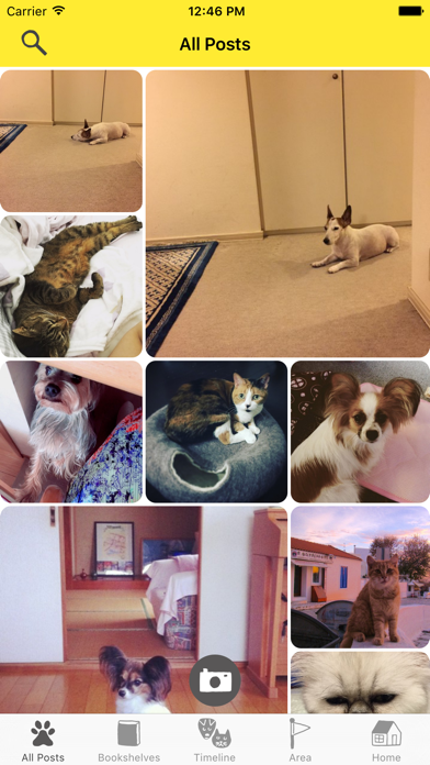 Screenshot #2 pour Dokonoko - Dogs&Cats Photo App