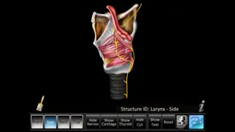 Game screenshot Larynx ID hack