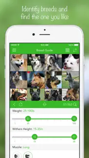 iknow dogs 2 pro problems & solutions and troubleshooting guide - 1