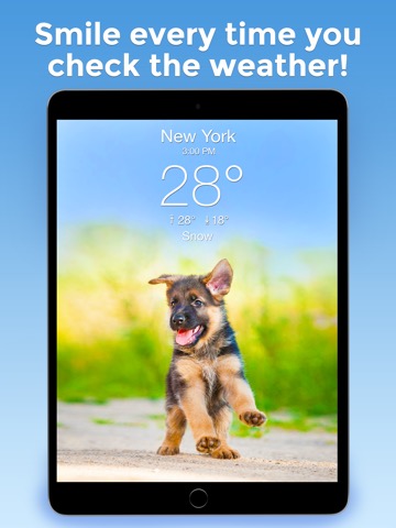Weather Puppy Forecast + Radarのおすすめ画像1