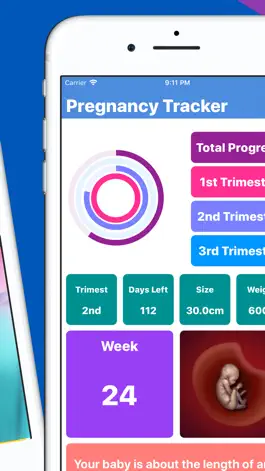 Game screenshot Pregnancy Tracker Your Journey apk
