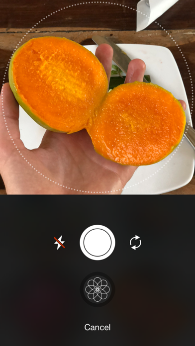 Screenshot #2 pour MealCam