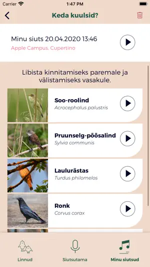Siuts screenshot 2