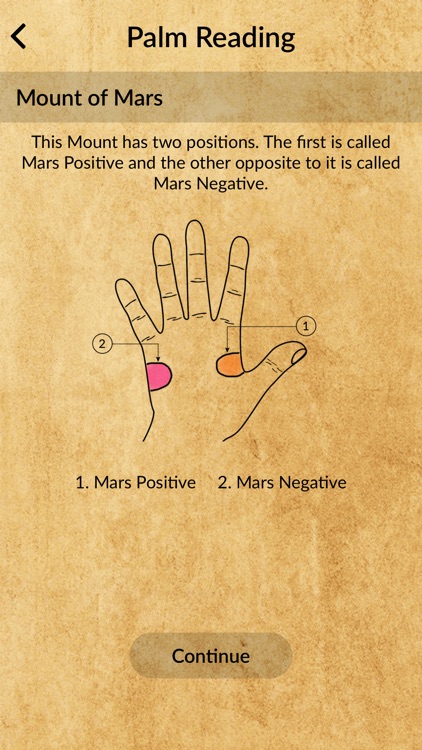 Palm Reader - True Palmistry screenshot-4