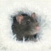 LittleBuddy mouse game icon