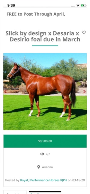 Barrel Horses BRH(圖4)-速報App