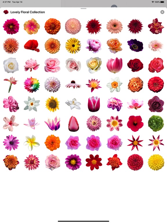 Screenshot #2 for Lovely Flower Collection