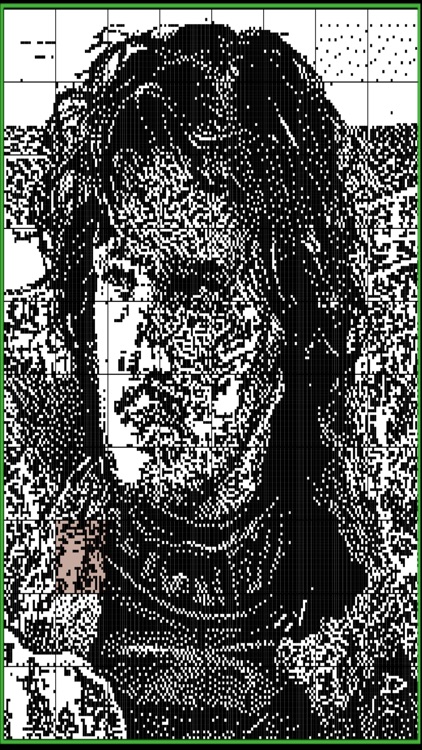 No4. Pictures Nonogram/Picross