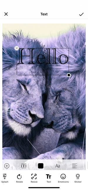 HD Wallpaper-iPhone Background(圖5)-速報App