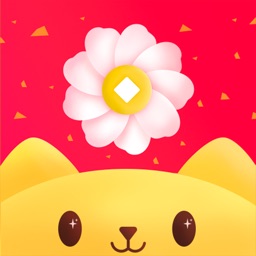 美美花-优质财务管理平台