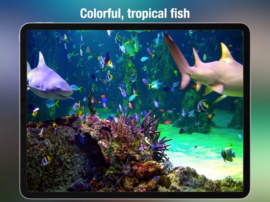 Aquarium Live - Real Fish Tank iPad screenshot 3 - Entertainment app