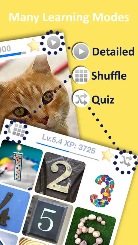 Trilingo Vocabulary Builder