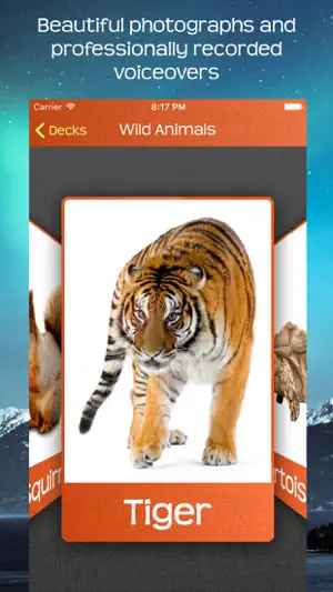 Flashcards! - Word Learning screenshot 1