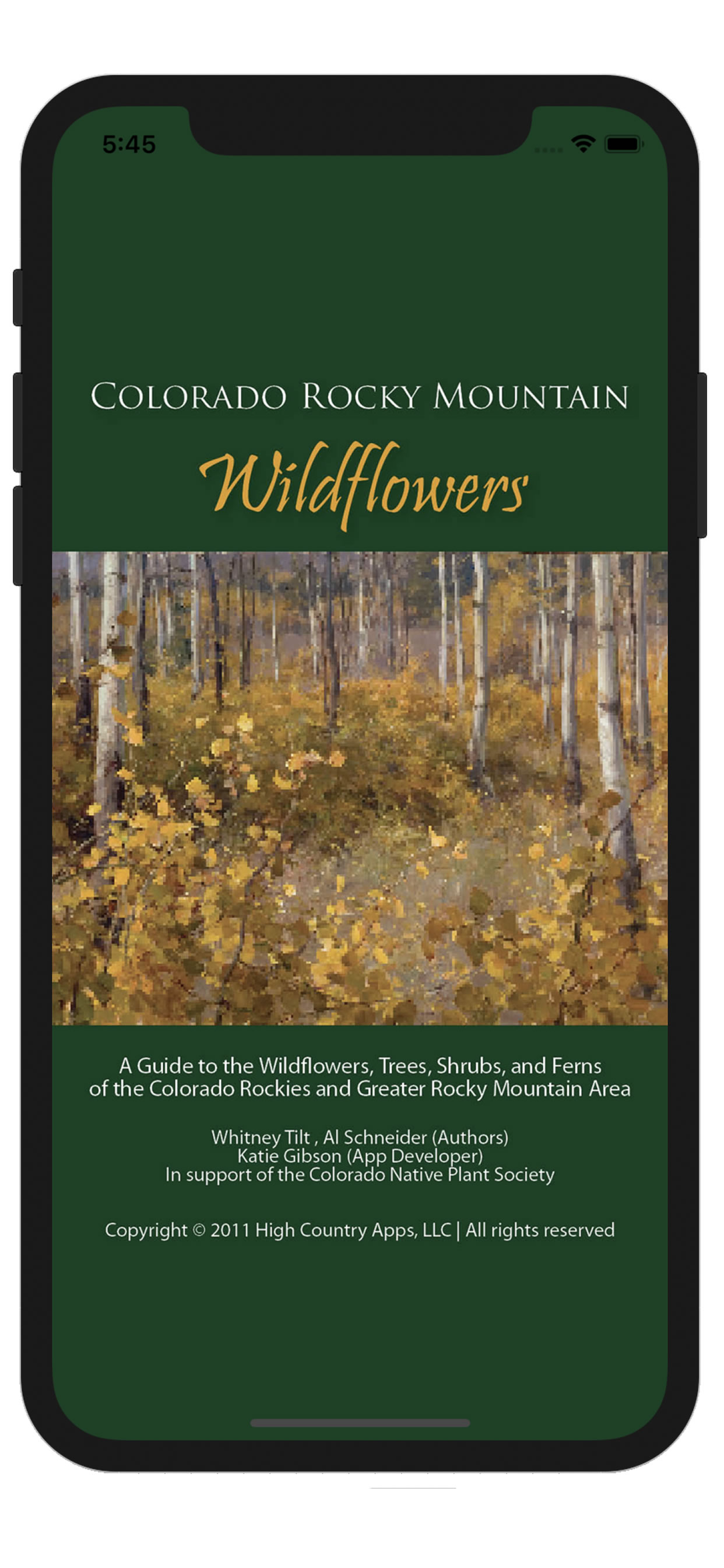 Colorado Rocky Mtn Wildflowers