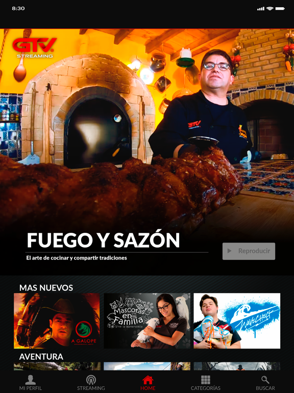 Screenshot #5 pour GTV Streaming