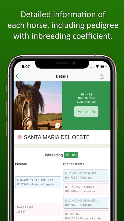 CRIO ONLINE - Horse Manager