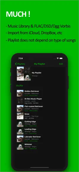 Game screenshot scylla - Hi-Res Music Player hack