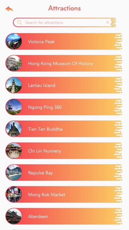 Hong Kong City Guide