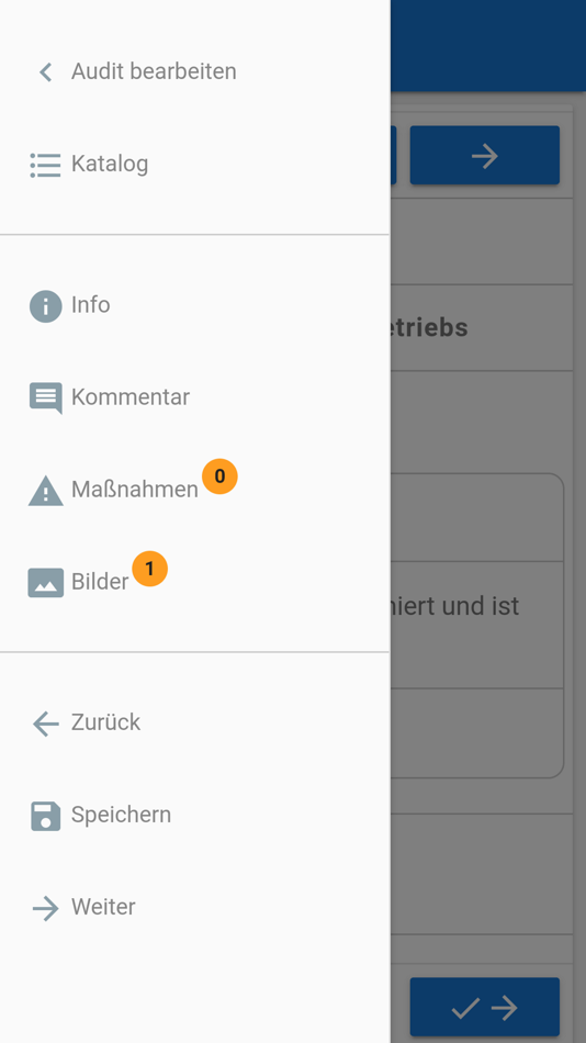 #3. Audits (iOS) Podle: hyperspace GmbH