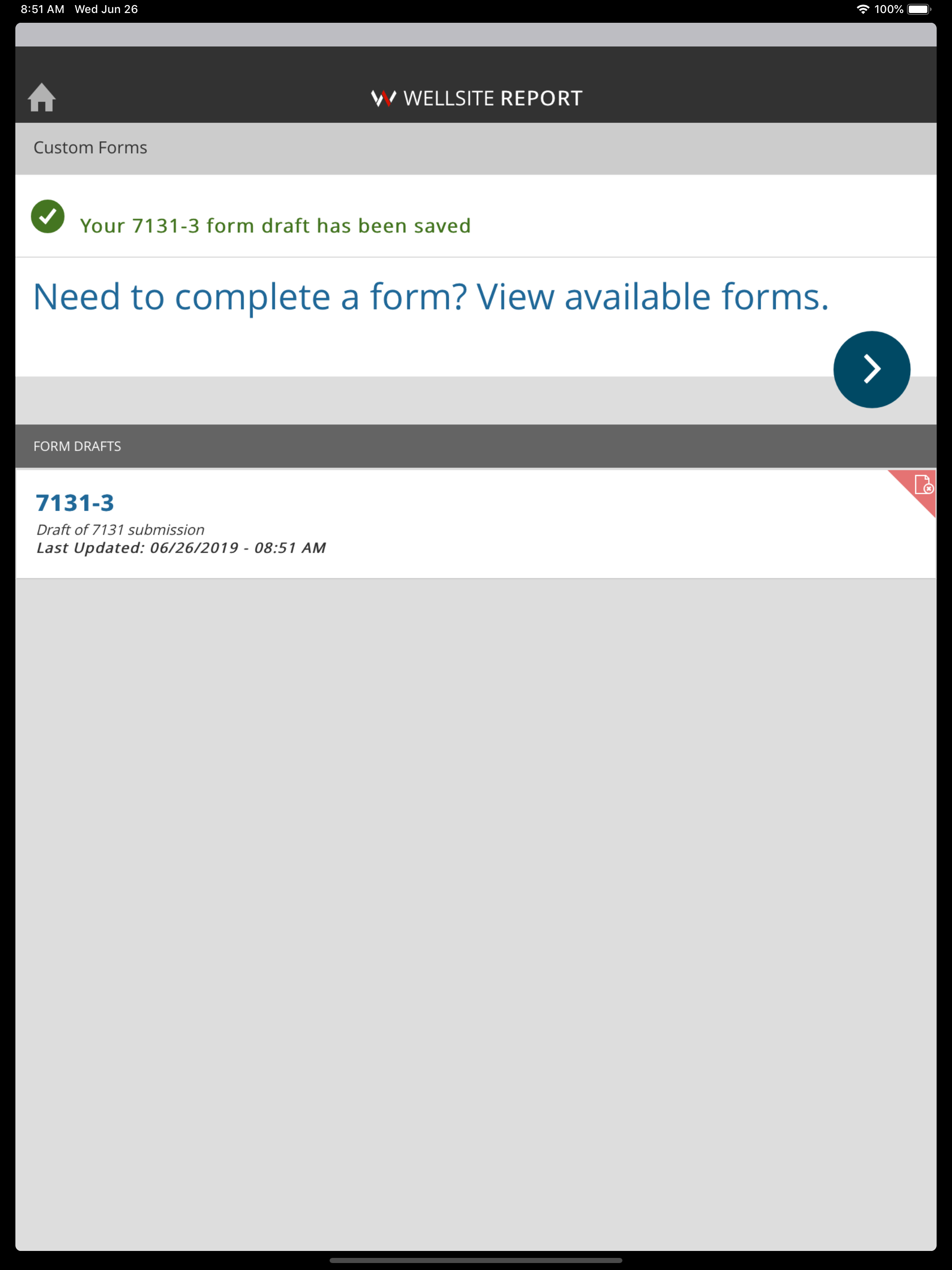 Wellsite Report