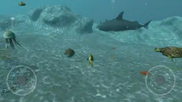 Game screenshot Real Fish Simulator mod apk