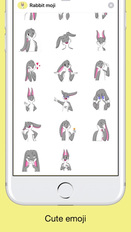 Funny bunny - cute rabbit