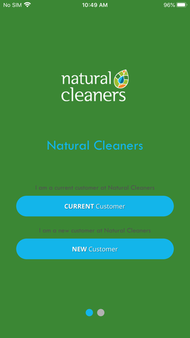 Natural Cleaners Screenshot