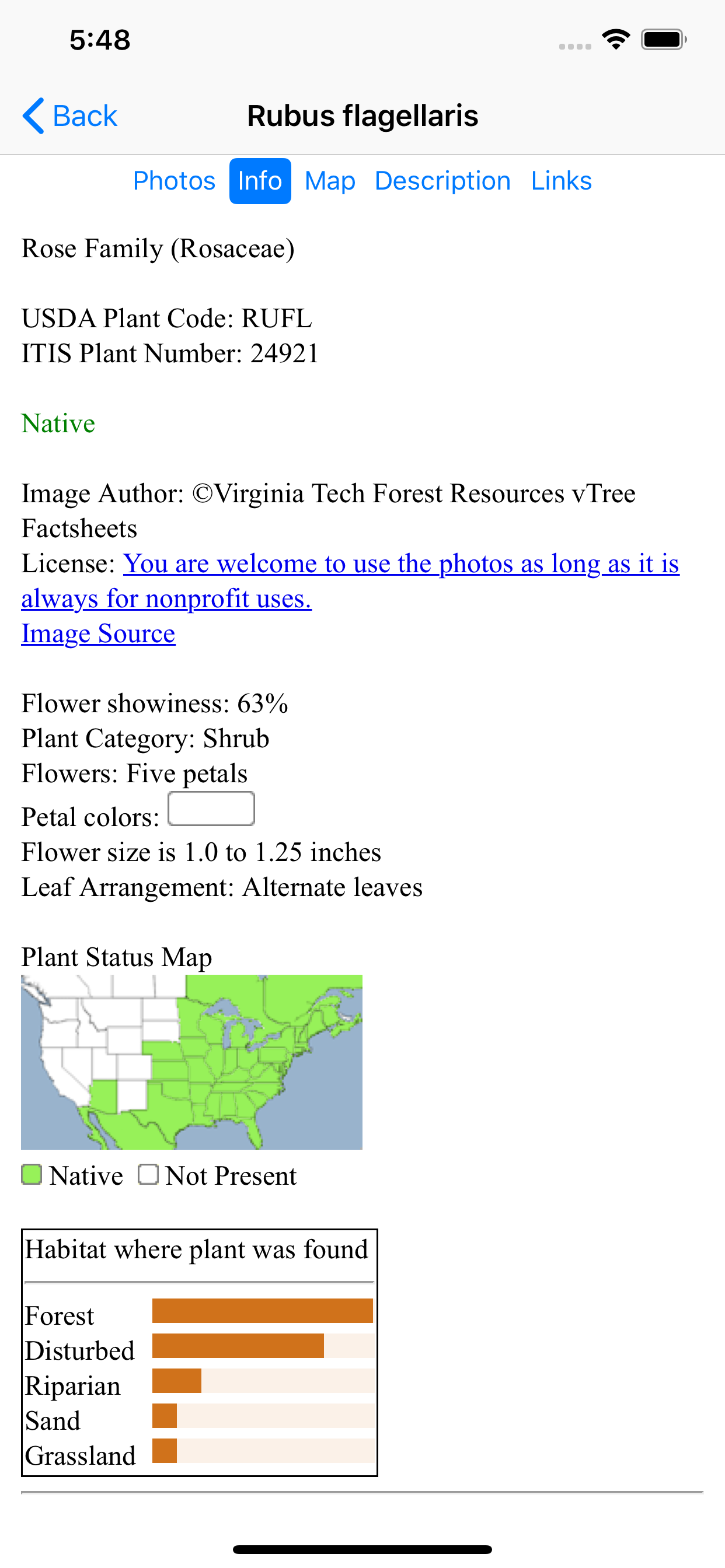 West Virginia Wildflowers