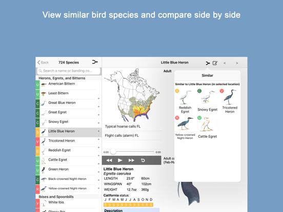Sibley Birds 2nd Edition iPad app afbeelding 5