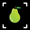 Fruit Identifier: Fruit ID icon