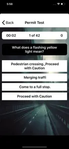 NYS Drivers Permit Test Prep screenshot #6 for iPhone