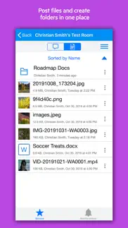 micro focus teamworks iphone resimleri 3