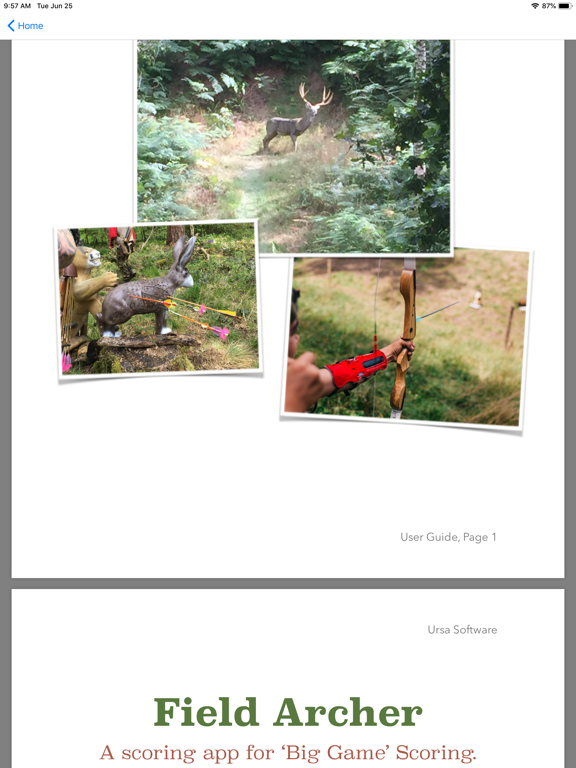 Screenshot #5 pour Field Archer