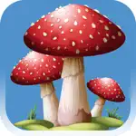 Forest Mushroom App Cancel