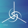 SkyNeb DNA